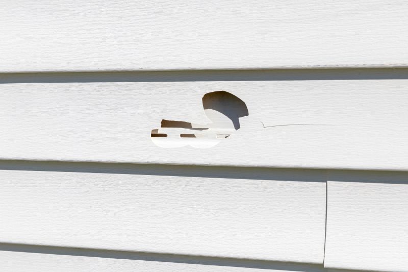 Vinyl Siding Repair Inspection